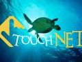 background__(483)