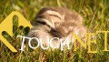 background__(688)