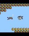 shark attack